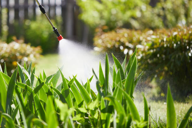 24/7 Emergency Ant Control experts in Monroeville, IN